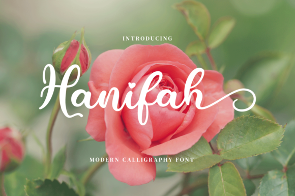 Hanifah: A Modern Script Font for Elegant Designs
